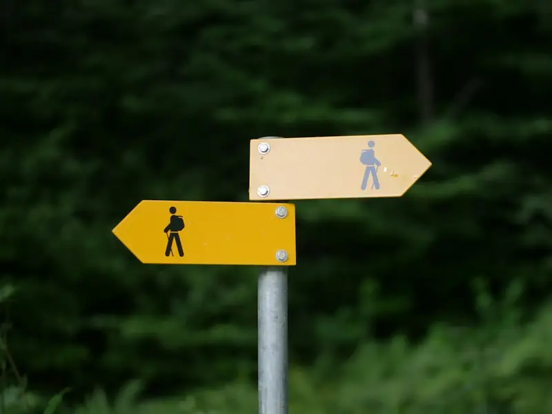 Yellow walking-trail signposts in a forest
