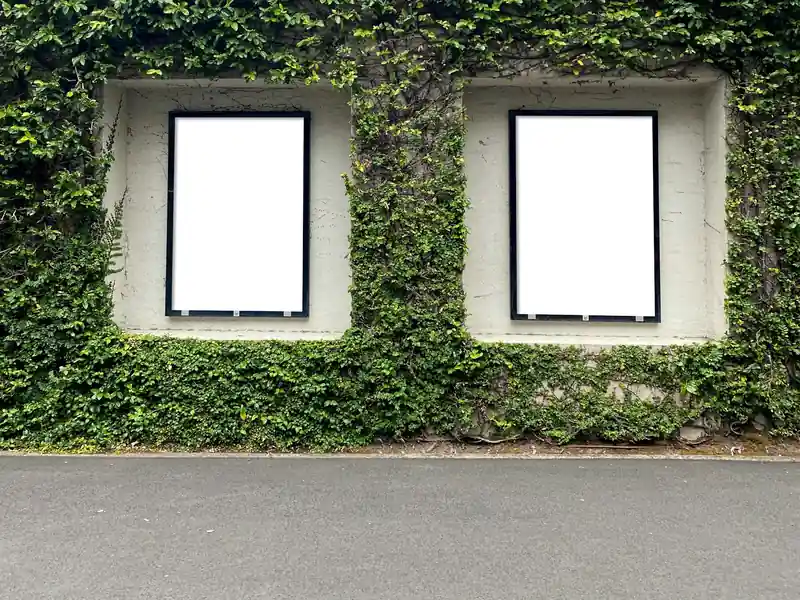 Two blank posters on an ivy-covered wall